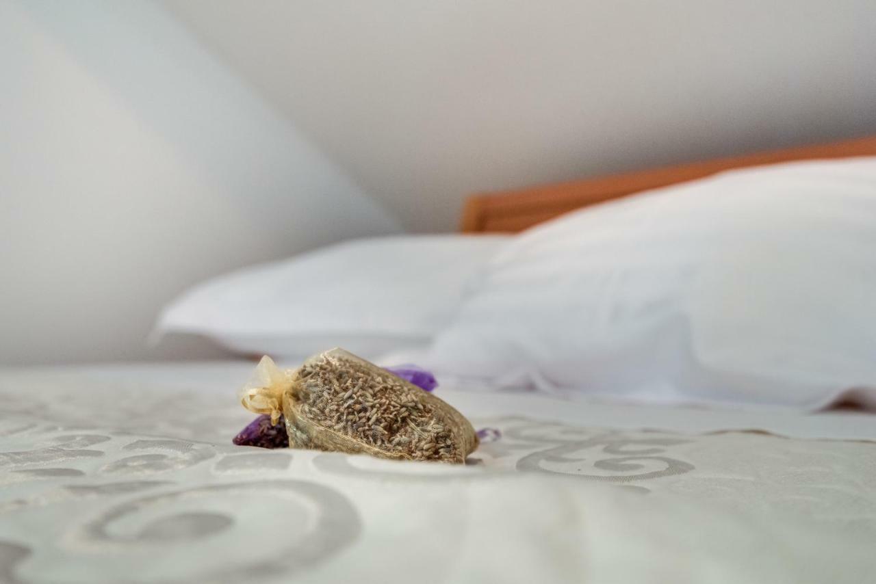 Studio Maslina Apartment Sibenik Bagian luar foto